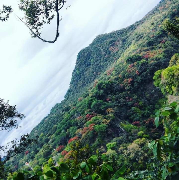 Finca Santa Rosa Teocelo Ngoại thất bức ảnh
