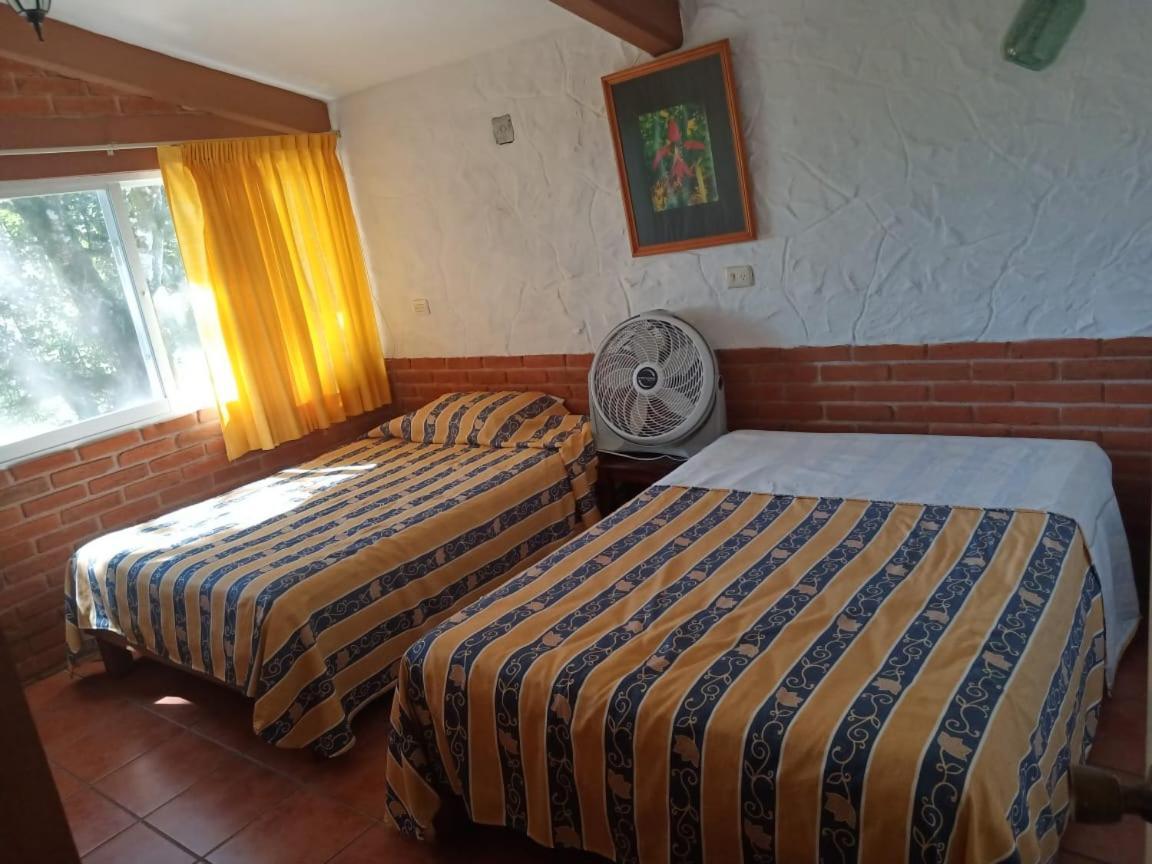 Finca Santa Rosa Teocelo Ngoại thất bức ảnh